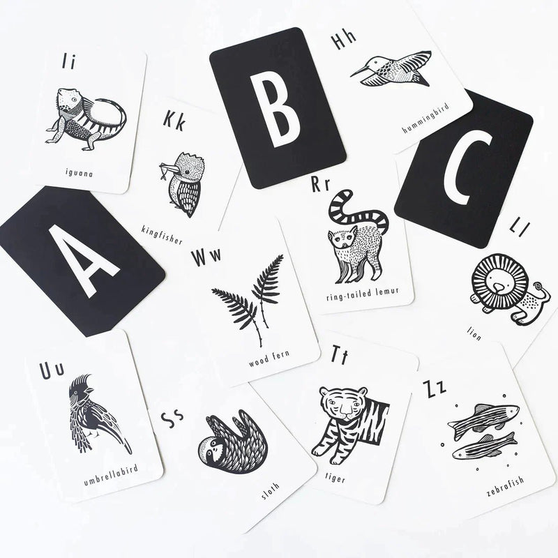 Wee Gallery Art Cards - Jungle Alphabet Cards