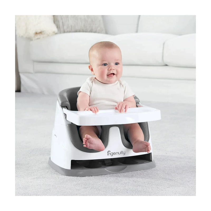 InGenuity Baby Base 2 - in - 1 Seat - Slate