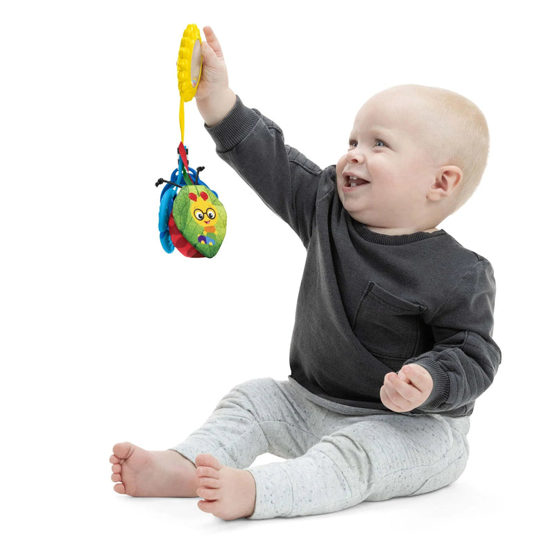 Baby Einstein - Touch of Nature Sensory Toy