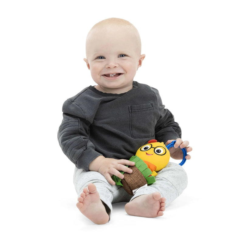 Baby Einstein - Cal - a - Puller Pull & Shake Toy