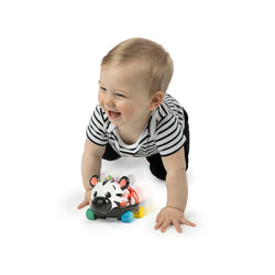 Baby Einstein Curious Car Zen Oball Toy Car & Rattle