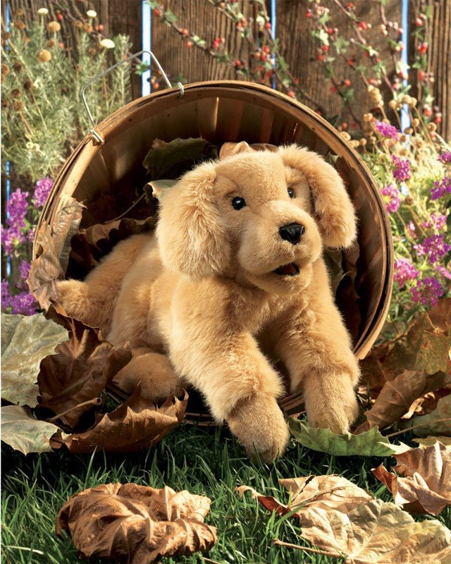 Folkmanis Puppets Golden Retriever Puppy