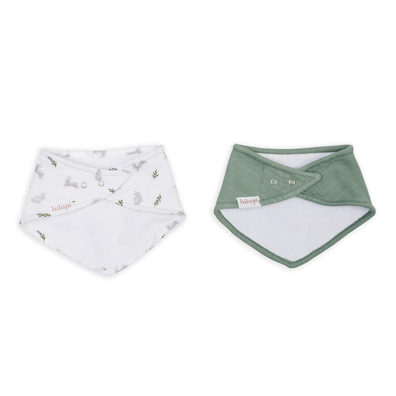 Lulujo - Lulujo Bandana Bibs 2pk