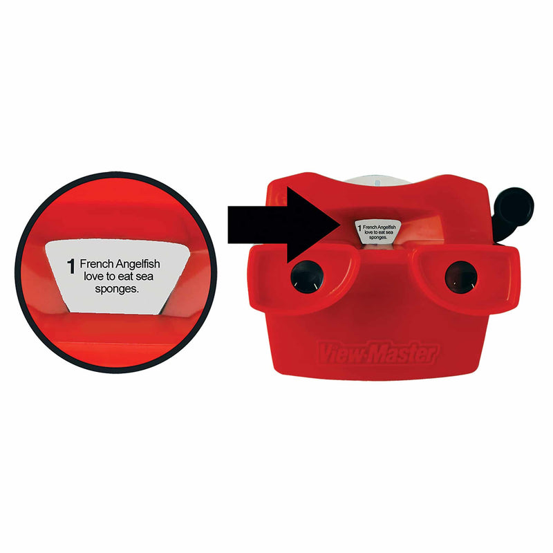 View Master