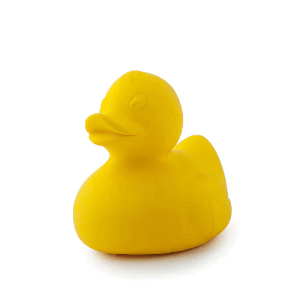 Petit canard