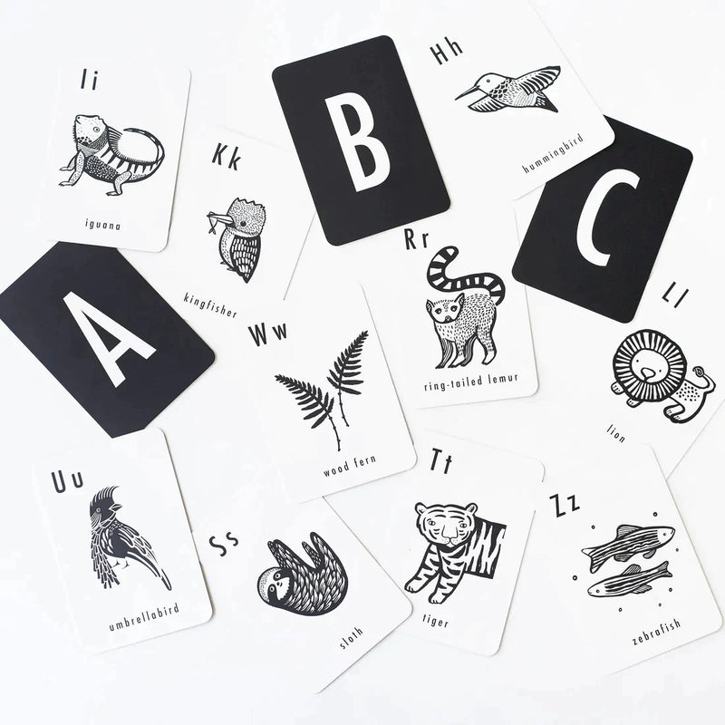 Cartes d'art - Cartes de l'alphabet de la jungle