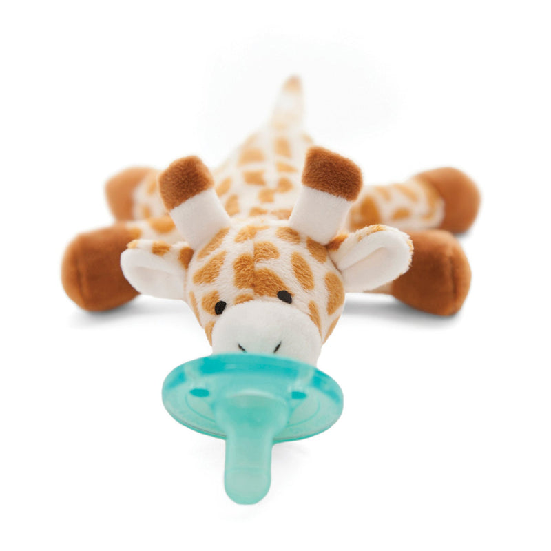 Bébé girafe